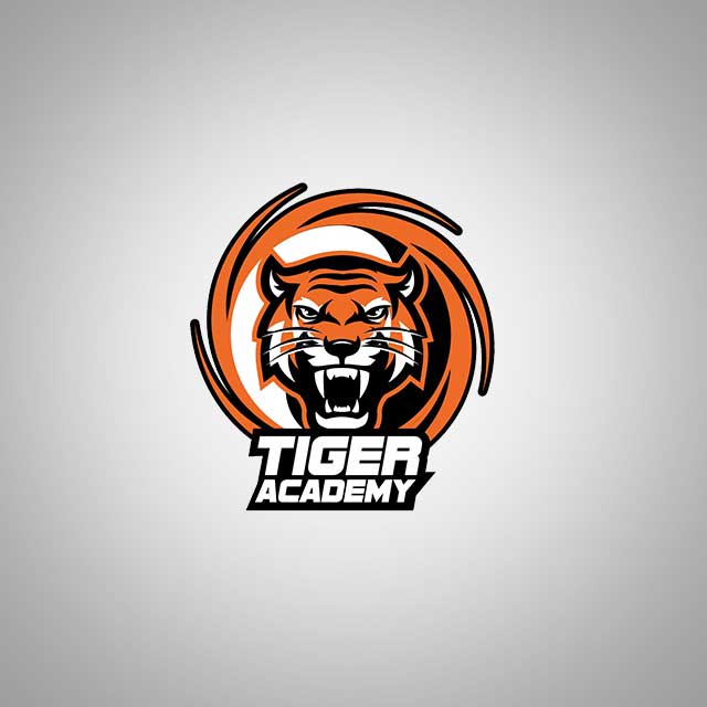 Hadi.marketing_Portfolio_Webdesign_tiger_academy_taekwondo_sport_schule